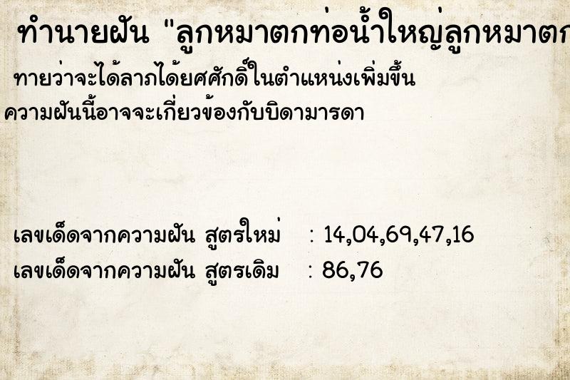 ทำนายฝันลูกหมาตกท่อน้ำใหญ่ลูกหมาตกท่อน้ำใหญ่ ทำนายฝันทำนายฝันลูกหมาตกท่อน้ำใหญ่ลูกหมาตกท่อน้ำใหญ่