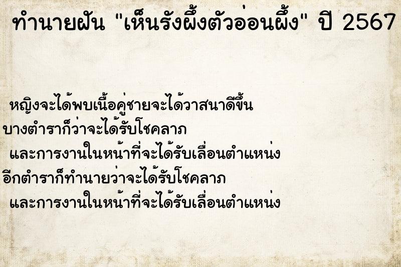 ทำนายฝัน เห็นรังผึ้งตัวอ่อนผึ้ง ตำราโบราณ แม่นที่สุดในโลก