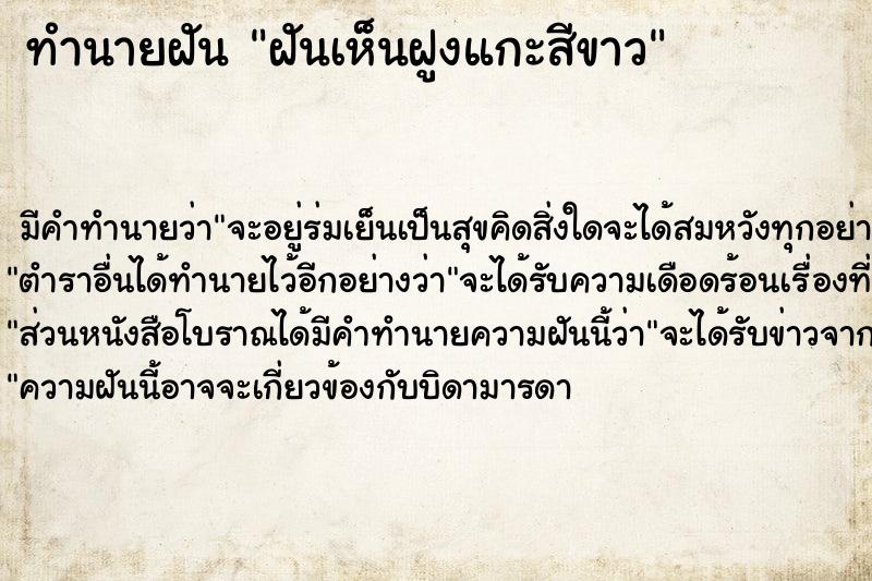 ทำนายฝันทำนายฝันฝันเห็นฝูงแกะสีขาว