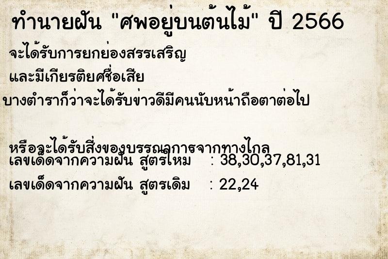 ทำนายฝัน ศพอยู่บนต้นไม้ ทำนายฝัน ศพอยู่บนต้นไม้