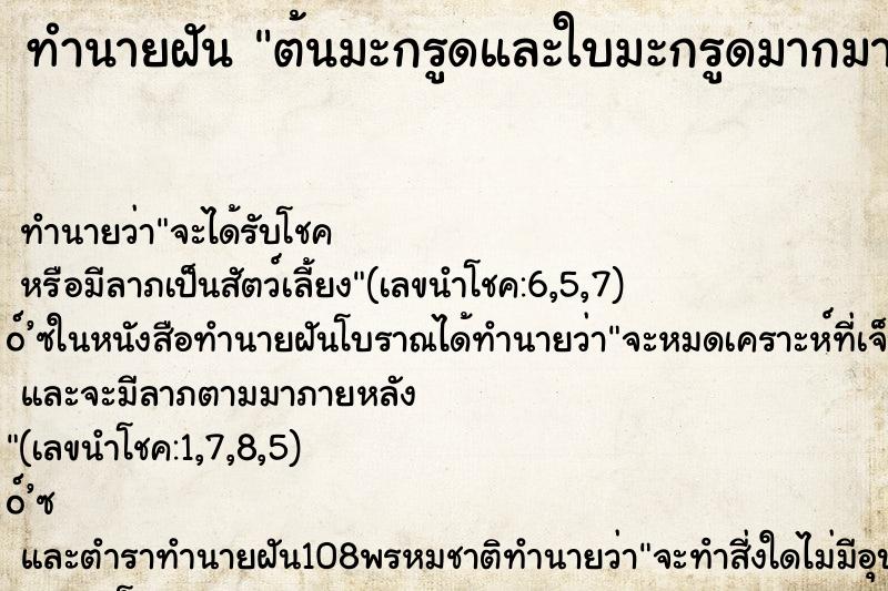 ทำนายฝันทำนายฝันต้นมะกรูดและใบมะกรูดมากมาย