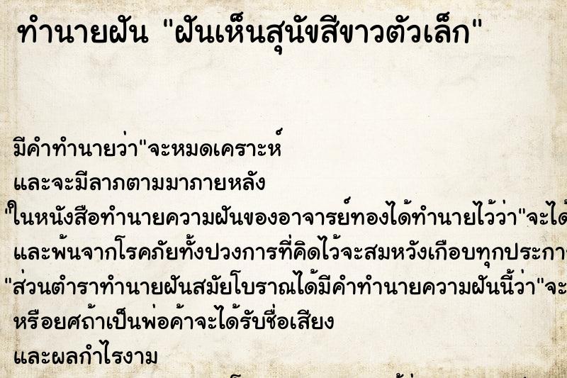 ทำนายฝัน ฝันเห็นสุนัขสีขาวตัวเล็ก ทำนายฝัน ฝันเห็นสุนัขสีขาวตัวเล็ก
