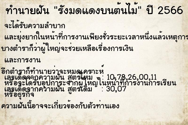 ทำนายฝัน รังมดแดงบนต้นไม้ ทำนายฝัน รังมดแดงบนต้นไม้