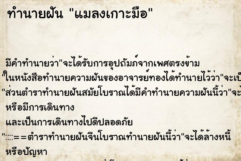 ทำนายฝัน แมลงเกาะมือ ทำนายฝัน แมลงเกาะมือ