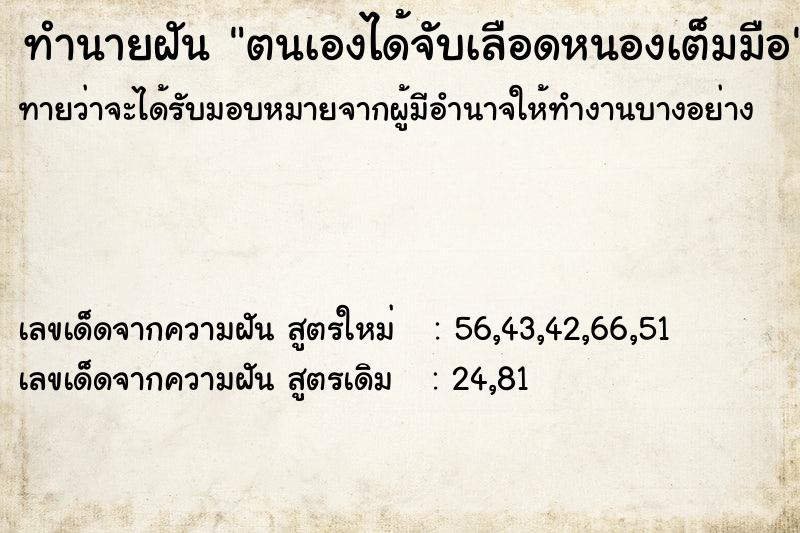 ทำนายฝันทำนายฝันตนเองได้จับเลือดหนองเต็มมือ