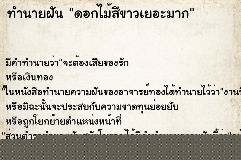 ทำนายฝัน ดอกไม้สีขาวเยอะมาก ทำนายฝัน ดอกไม้สีขาวเยอะมาก