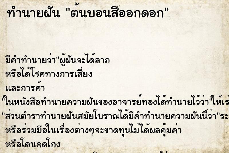 ทำนายฝัน ต้นบอนสีออกดอก ทำนายฝัน ต้นบอนสีออกดอก
