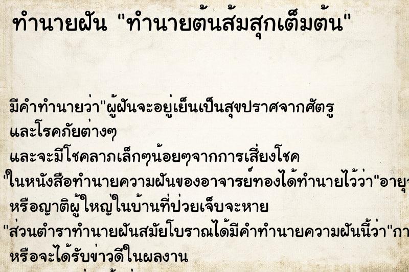 ทำนายฝันทำนายฝันทำนายต้นส้มสุกเต็มต้น