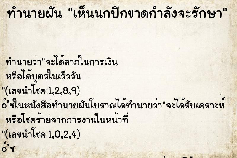 ทำนายฝัน เห็นนกปีกขาดกำลังจะรักษา ทำนายฝัน เห็นนกปีกขาดกำลังจะรักษา