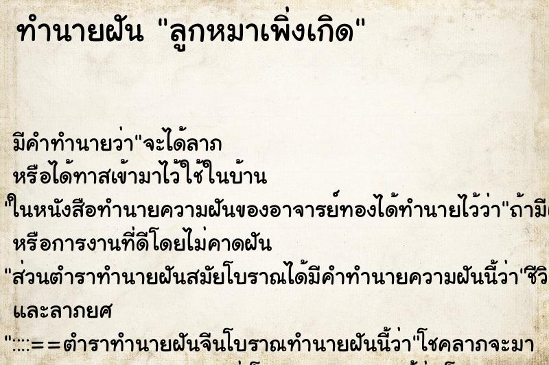 ทำนายฝัน ลูกหมาเพิ่งเกิด ทำนายฝัน ลูกหมาเพิ่งเกิด