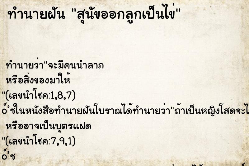 ทำนายฝัน สุนัขออกลูกเป็นไข่