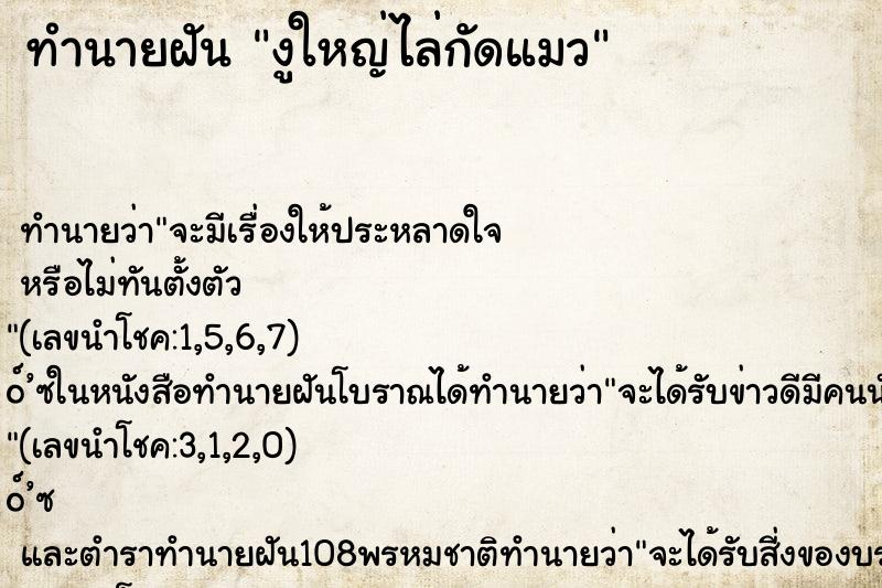 ทำนายฝัน งูใหญ่ไล่กัดแมว