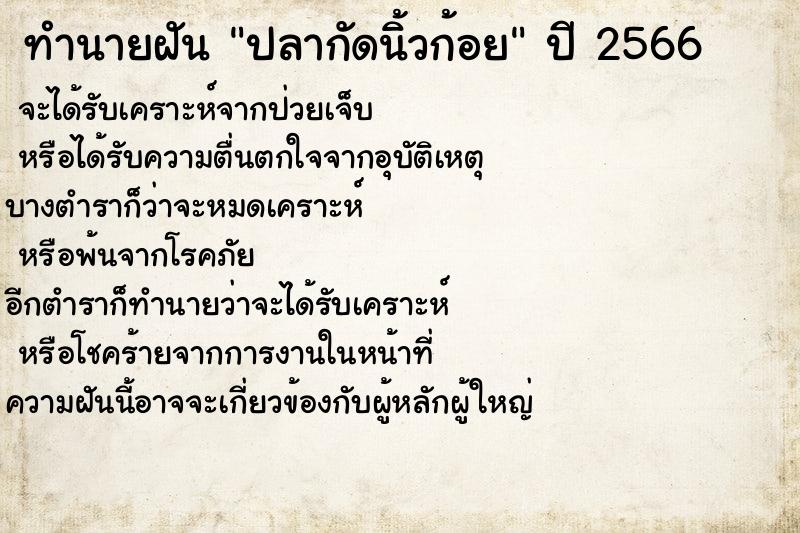 ทำนายฝัน ปลากัดนิ้วก้อย ทำนายฝัน ปลากัดนิ้วก้อย