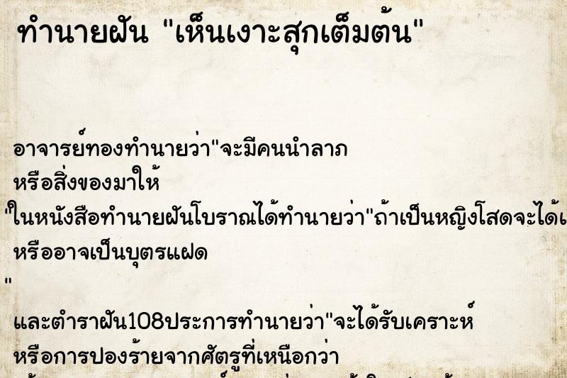 ทำนายฝันทำนายฝันเห็นเงาะสุกเต็มต้น