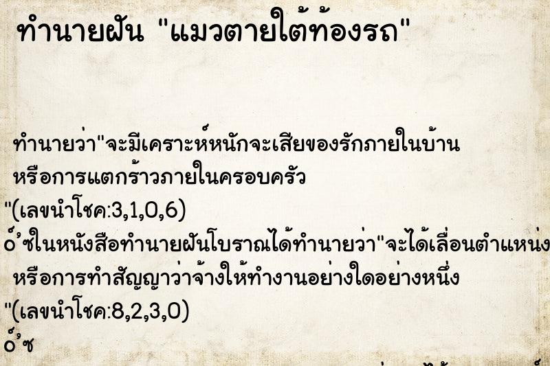 ทำนายฝัน แมวตายใต้ท้องรถ ตำราโบราณ แม่นที่สุดในโลก