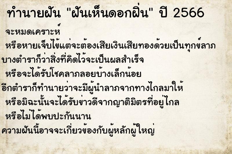 ทำนายฝัน ฝันเห็นดอกฝิ่น ทำนายฝัน ฝันเห็นดอกฝิ่น