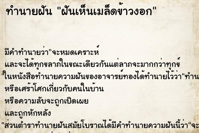 ทำนายฝัน ฝันเห็นเมล็ดข้าวงอก ตำราโบราณ แม่นที่สุดในโลก