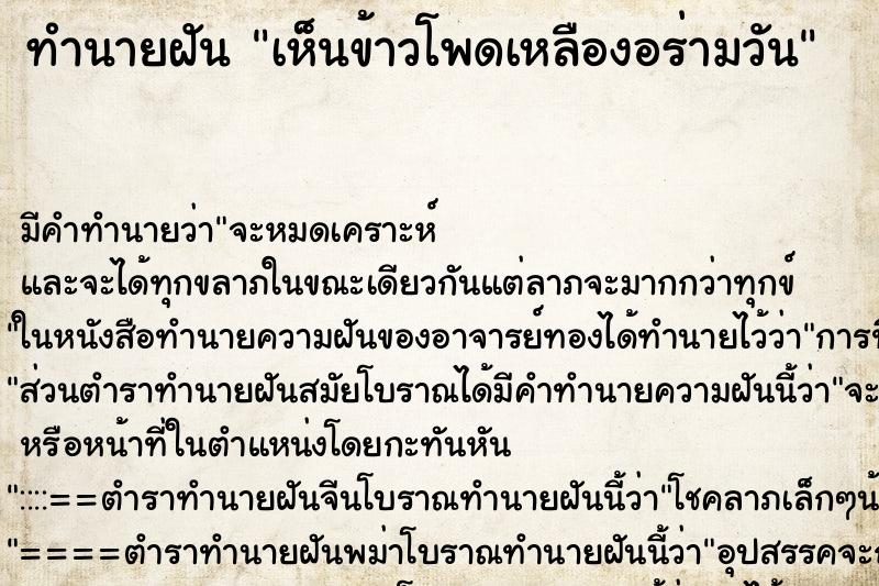 ทำนายฝัน เห็นข้าวโพดเหลืองอร่ามวัน ทำนายฝัน เห็นข้าวโพดเหลืองอร่ามวัน