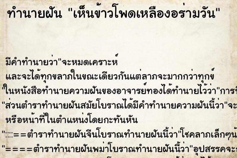 ทำนายฝัน เห็นข้าวโพดเหลืองอร่ามวัน ตำราโบราณ แม่นที่สุดในโลก