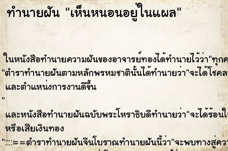 ทำนายฝันเห็นหนอนอยู่ในแผล ทำนายฝันทำนายฝันเห็นหนอนอยู่ในแผล
