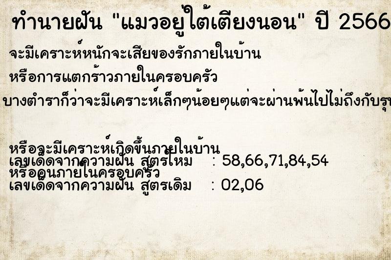 ทำนายฝัน แมวอยู่ใต้เตียงนอน ทำนายฝัน แมวอยู่ใต้เตียงนอน