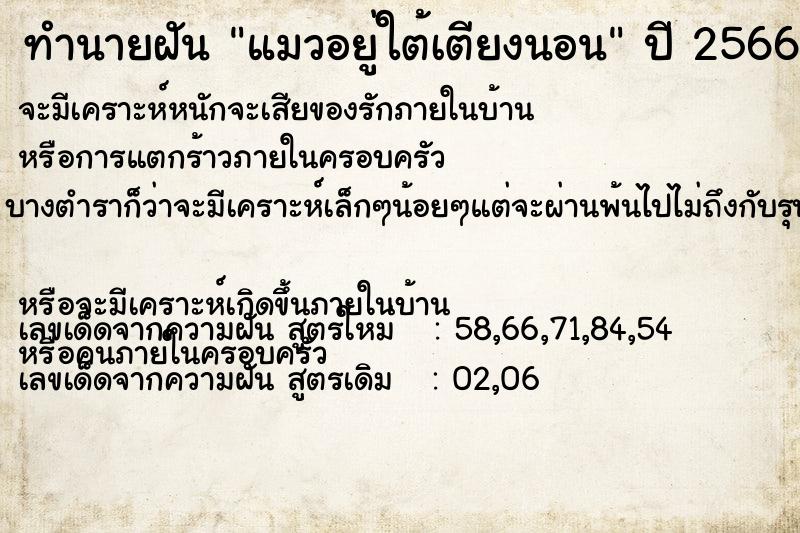 ทำนายฝัน แมวอยู่ใต้เตียงนอน ตำราโบราณ แม่นที่สุดในโลก