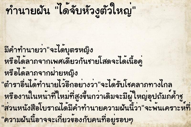 ทำนายฝัน ได้จับหัวงูตัวใหญ่ ทำนายฝัน ได้จับหัวงูตัวใหญ่