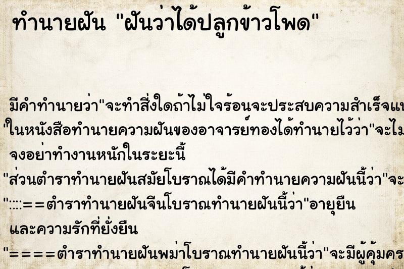 ทำนายฝันฝันว่าได้ปลูกข้าวโพด ทำนายฝันทำนายฝันฝันว่าได้ปลูกข้าวโพด