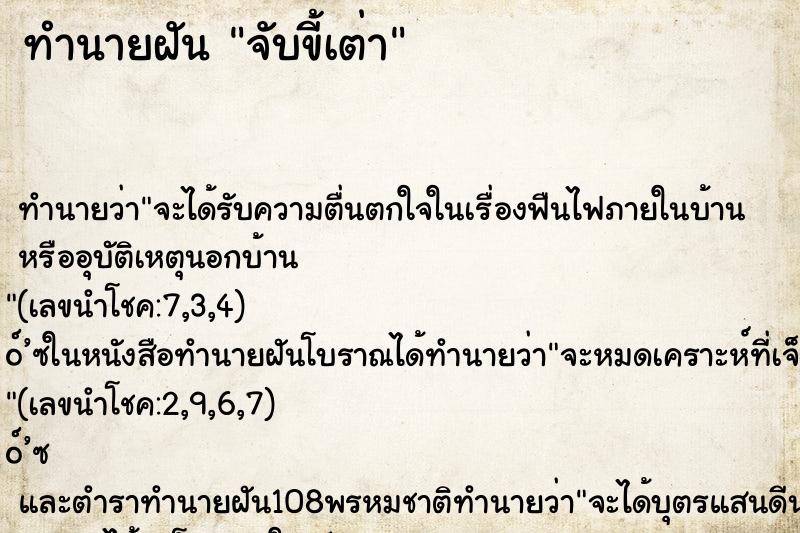 ทำนายฝัน จับขี้เต่า