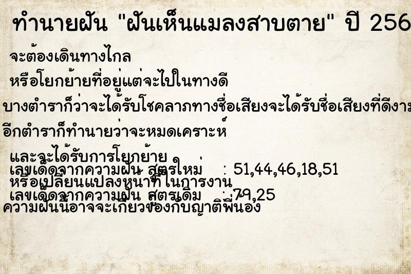 ทำนายฝันฝันเห็นแมลงสาบตาย ทำนายฝันทำนายฝันฝันเห็นแมลงสาบตาย