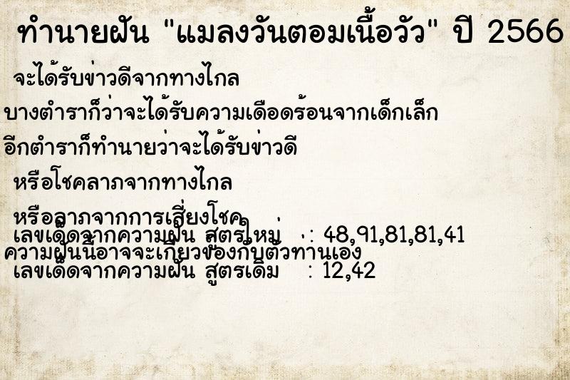 ทำนายฝัน แมลงวันตอมเนื้อวัว ทำนายฝัน แมลงวันตอมเนื้อวัว