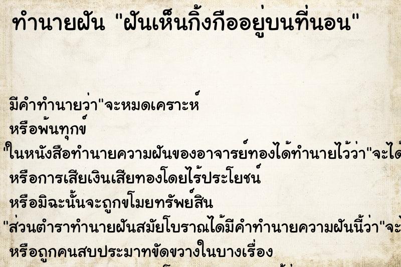 ทำนายฝัน ฝันเห็นกิ้งกืออยู่บนที่นอน ทำนายฝัน ฝันเห็นกิ้งกืออยู่บนที่นอน