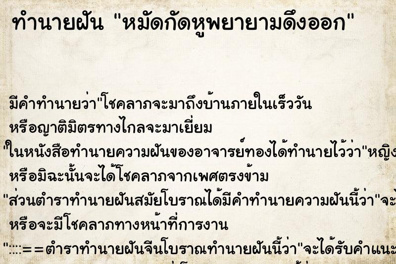 ทำนายฝันหมัดกัดหูพยายามดึงออก ทำนายฝันทำนายฝันหมัดกัดหูพยายามดึงออก