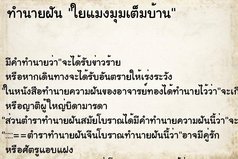 ทำนายฝัน ใยแมงมุมเต็มบ้าน ทำนายฝัน ใยแมงมุมเต็มบ้าน