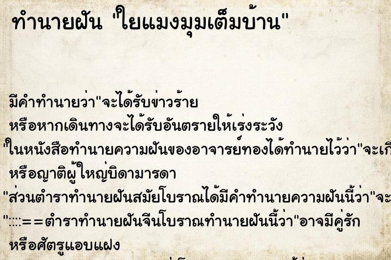 ทำนายฝัน ใยแมงมุมเต็มบ้าน ตำราโบราณ แม่นที่สุดในโลก