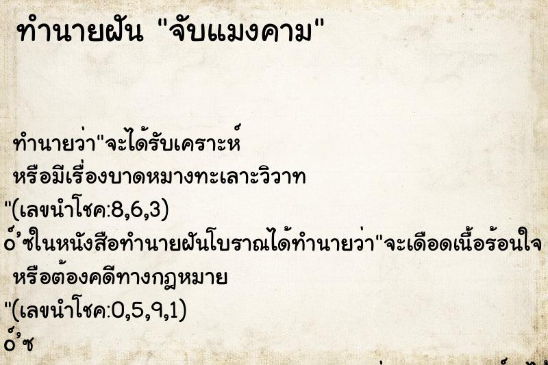 ทำนายฝันทำนายฝันจับแมงคาม