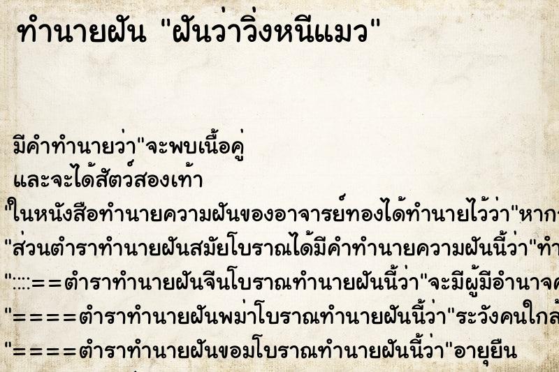 ทำนายฝัน ฝันว่าวิ่งหนีแมว ทำนายฝัน ฝันว่าวิ่งหนีแมว