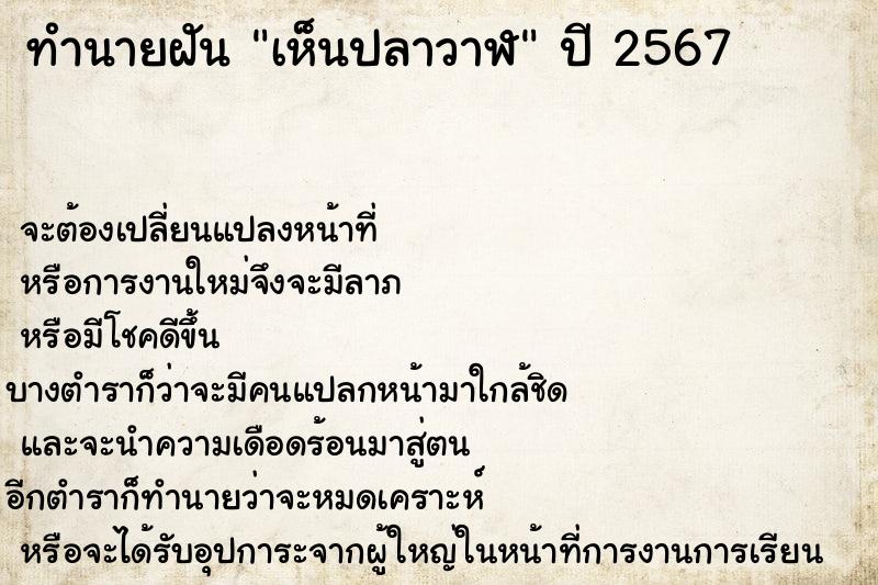 ทำนายฝัน เห็นปลาวาฬ ทำนายฝัน เห็นปลาวาฬ
