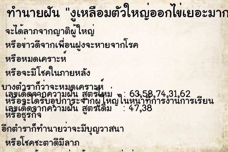ทำนายฝัน งูเหลือมตัวใหญ่ออกไข่เยอะมากแม่นๆ ฟรี ด้วยตำราหนังสือทำนายฝันโบราณ ทำนายฝันงูเหลือมตัวใหญ่ออกไข่เยอะมาก