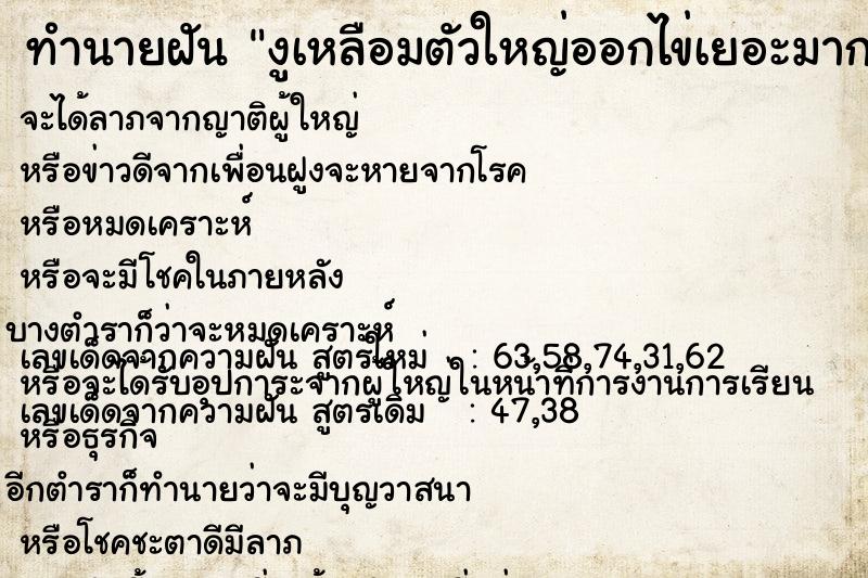 ทำนายฝัน งูเหลือมตัวใหญ่ออกไข่เยอะมาก ตำราโบราณ แม่นที่สุดในโลก