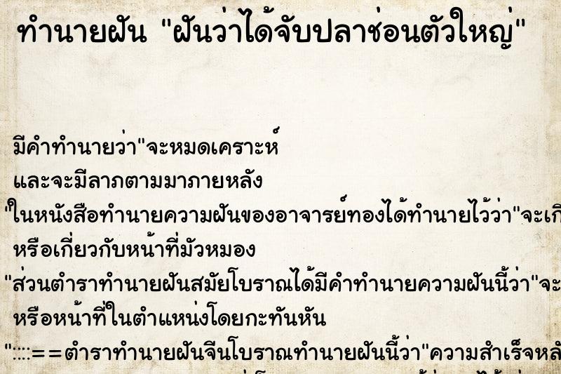 ทำนายฝัน ฝันว่าได้จับปลาช่อนตัวใหญ่ ตำราโบราณ แม่นที่สุดในโลก