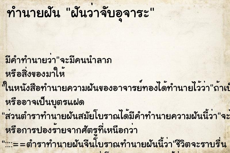 ทำนายฝัน ฝันว่าจับอุจาระ ทำนายฝัน ฝันว่าจับอุจาระ