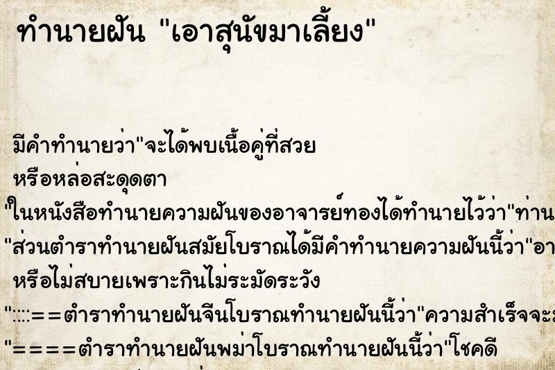 ทำนายฝันทำนายฝันเอาสุนัขมาเลี้ยง
