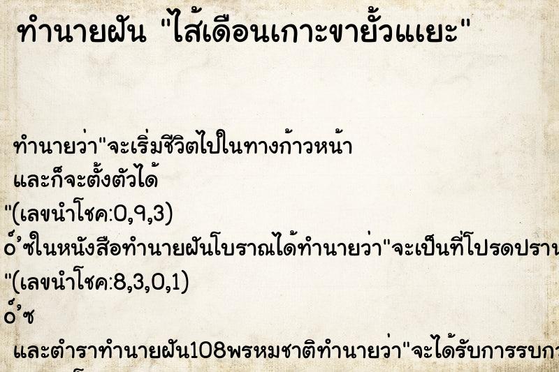 ทำนายฝันไส้เดือนเกาะขายั้วแเยะ ทำนายฝันทำนายฝันไส้เดือนเกาะขายั้วแเยะ