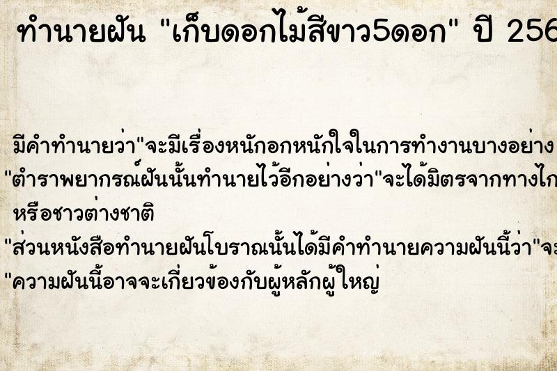 ทำนายฝัน เก็บดอกไม้สีขาว5ดอก ทำนายฝัน เก็บดอกไม้สีขาว5ดอก