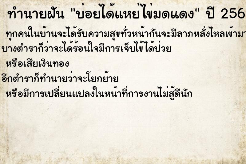 ทำนายฝันบ่อยได้แหย่ไข่มดแดง ทำนายฝันทำนายฝันบ่อยได้แหย่ไข่มดแดง