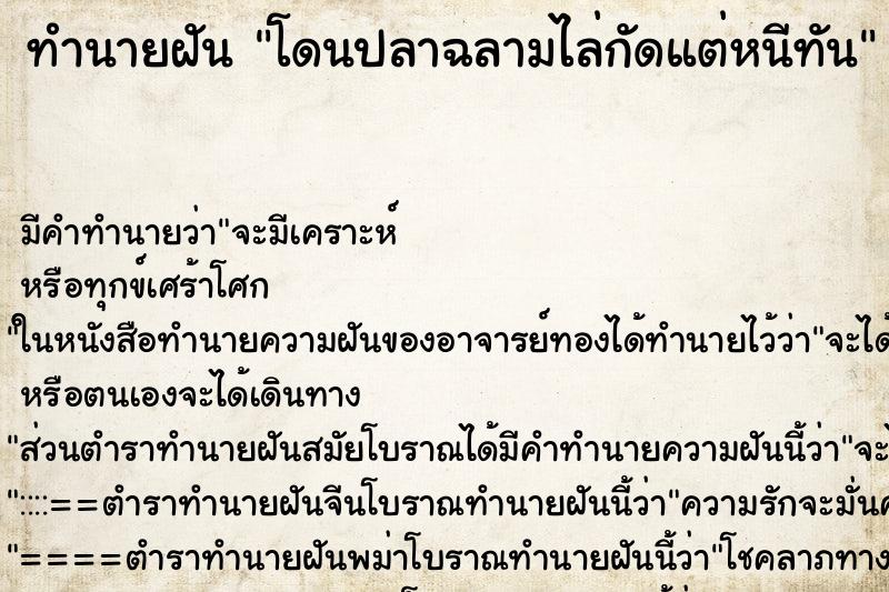 ทำนายฝัน โดนปลาฉลามไล่กัดแต่หนีทัน ทำนายฝัน โดนปลาฉลามไล่กัดแต่หนีทัน