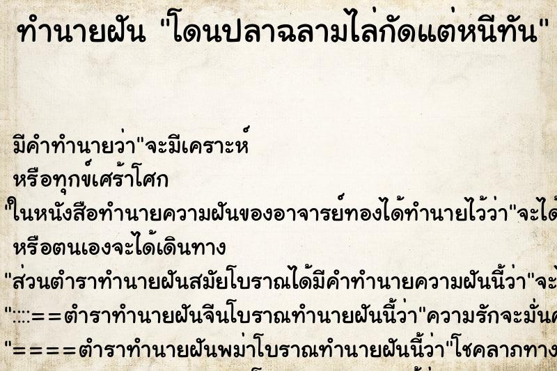 ทำนายฝัน โดนปลาฉลามไล่กัดแต่หนีทัน ตำราโบราณ แม่นที่สุดในโลก