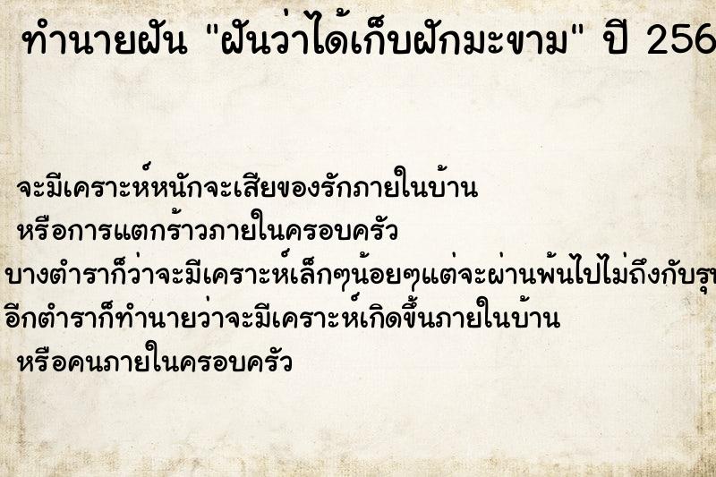 ทำนายฝันฝันว่าได้เก็บฝักมะขาม ทำนายฝันทำนายฝันฝันว่าได้เก็บฝักมะขาม