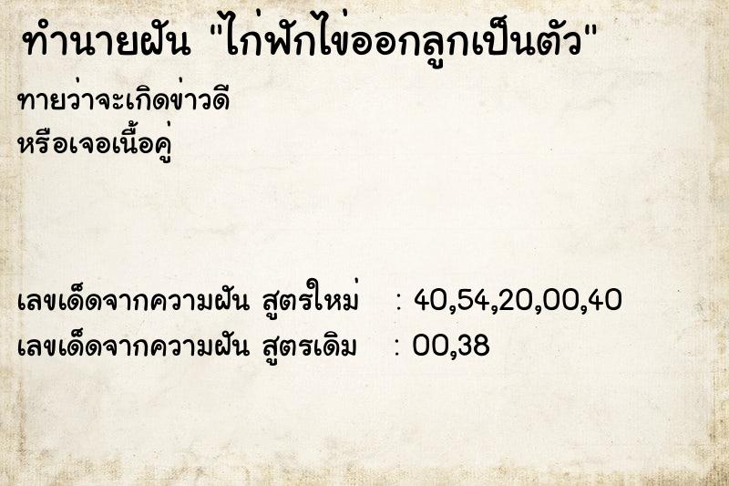 ทำนายฝัน ไก่ฟักไข่ออกลูกเป็นตัว แม่นๆ ฟรี ด้วยตำราหนังสือทำนายฝันโบราณ ทำนายฝันไก่ฟักไข่ออกลูกเป็นตัว